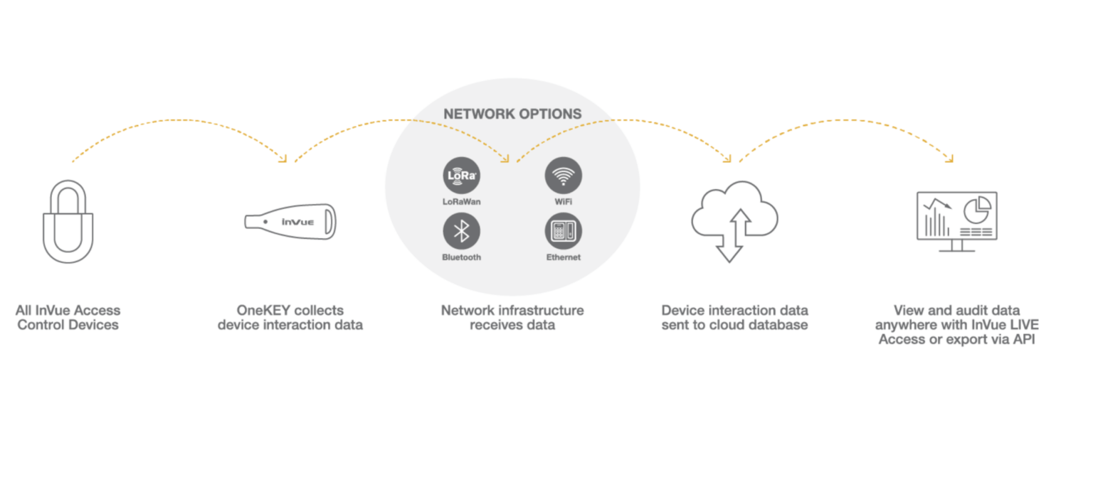 OneKEY infografía